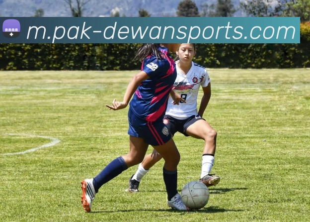 体育下注发展历程